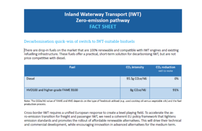STIP IWT FACTSHEET 2025
